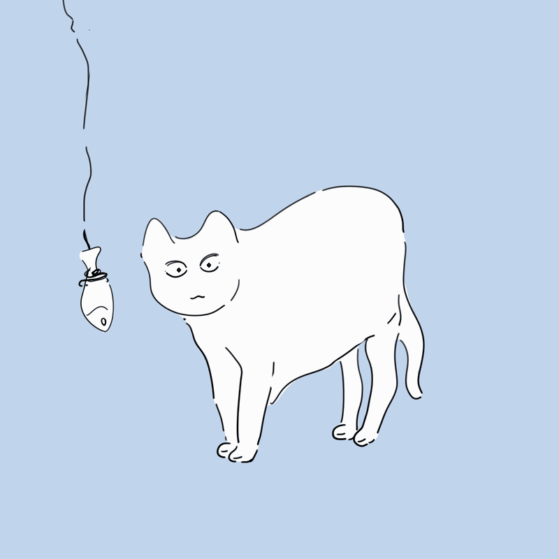 猫咪与悬挂的小鱼